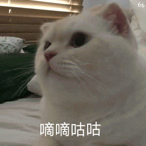 超可爱动图表情包-看点快报
