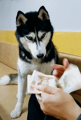 十个冷知识:人在什么状态所有器官都会停止,就连心脏都会停止跳动!