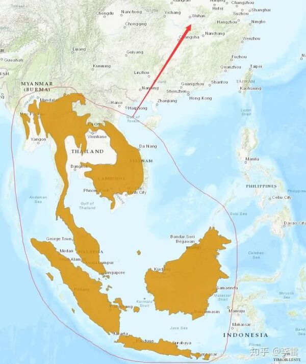 钟南山为什么说病毒源头不一定在中国？