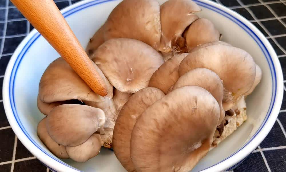 0?fmt=jpg&size=48&h=600&w=1000&ppv=1