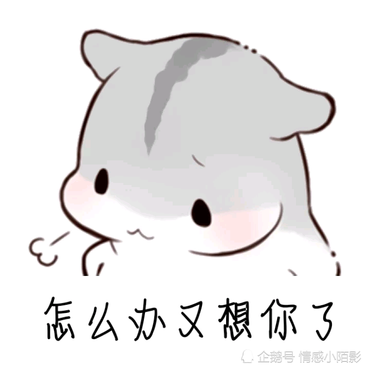 仓鼠表情包:怎么办又想你了