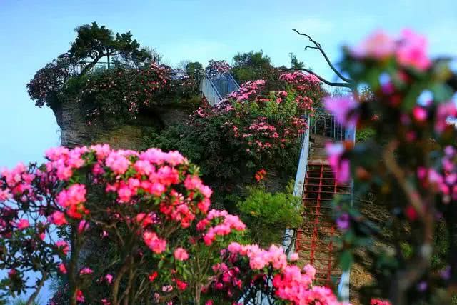 足不出户的冬天太长 差点忘了祖国的春天有多美 看点快报