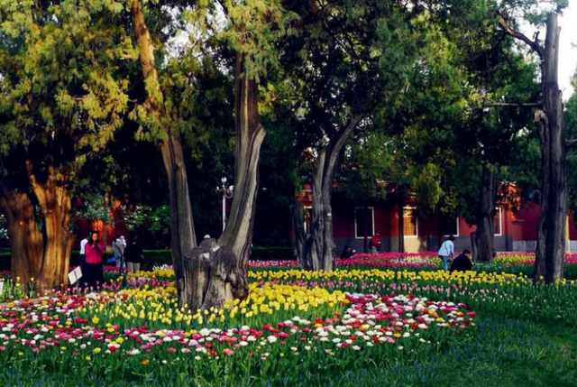 中山公园 北京城内第一座公共园林 历史悠久古朴典雅 看点快报