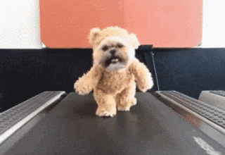 没有跑步机,也可以在 小区楼道里上下来回溜达几圈,达到每天的运动量.