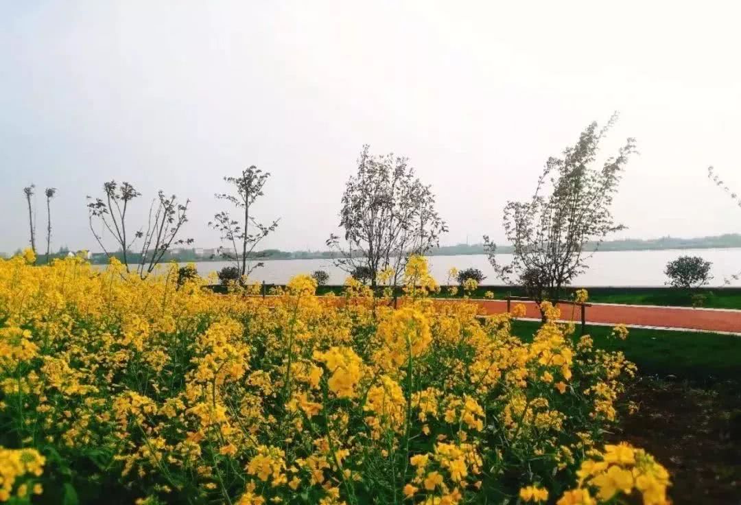 2019年无锡散步地图来啦!人少景美还免费绝对不能错过
