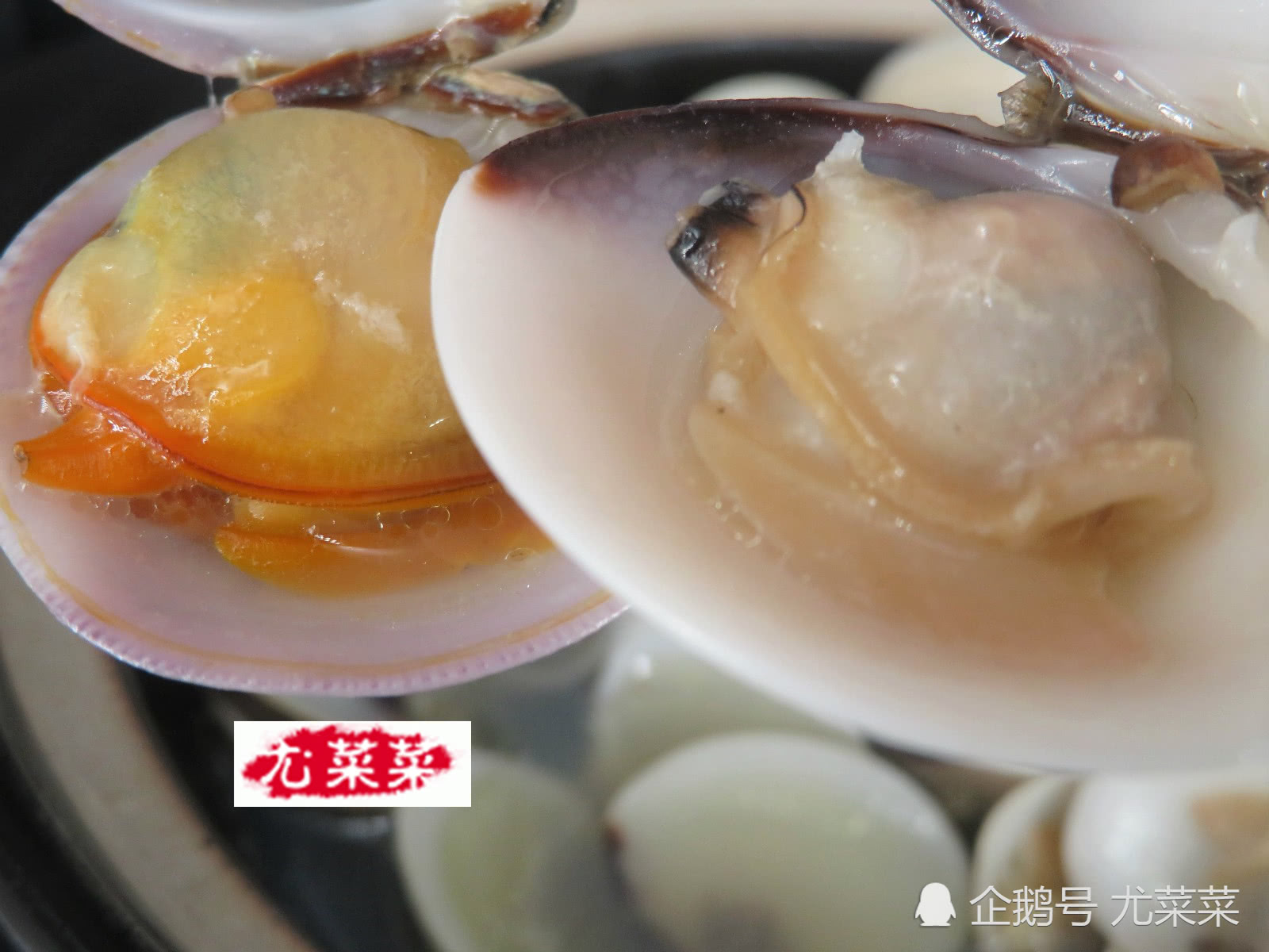 无论是做花甲还是白蛤 牢记放此物 保证好吃不腥寒 快试试 看点快报