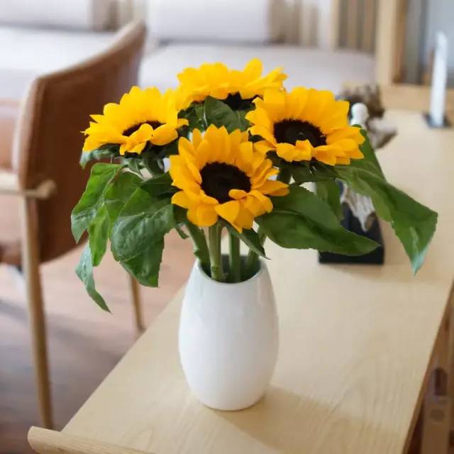 养护 向日葵的养护贴士 看点快报