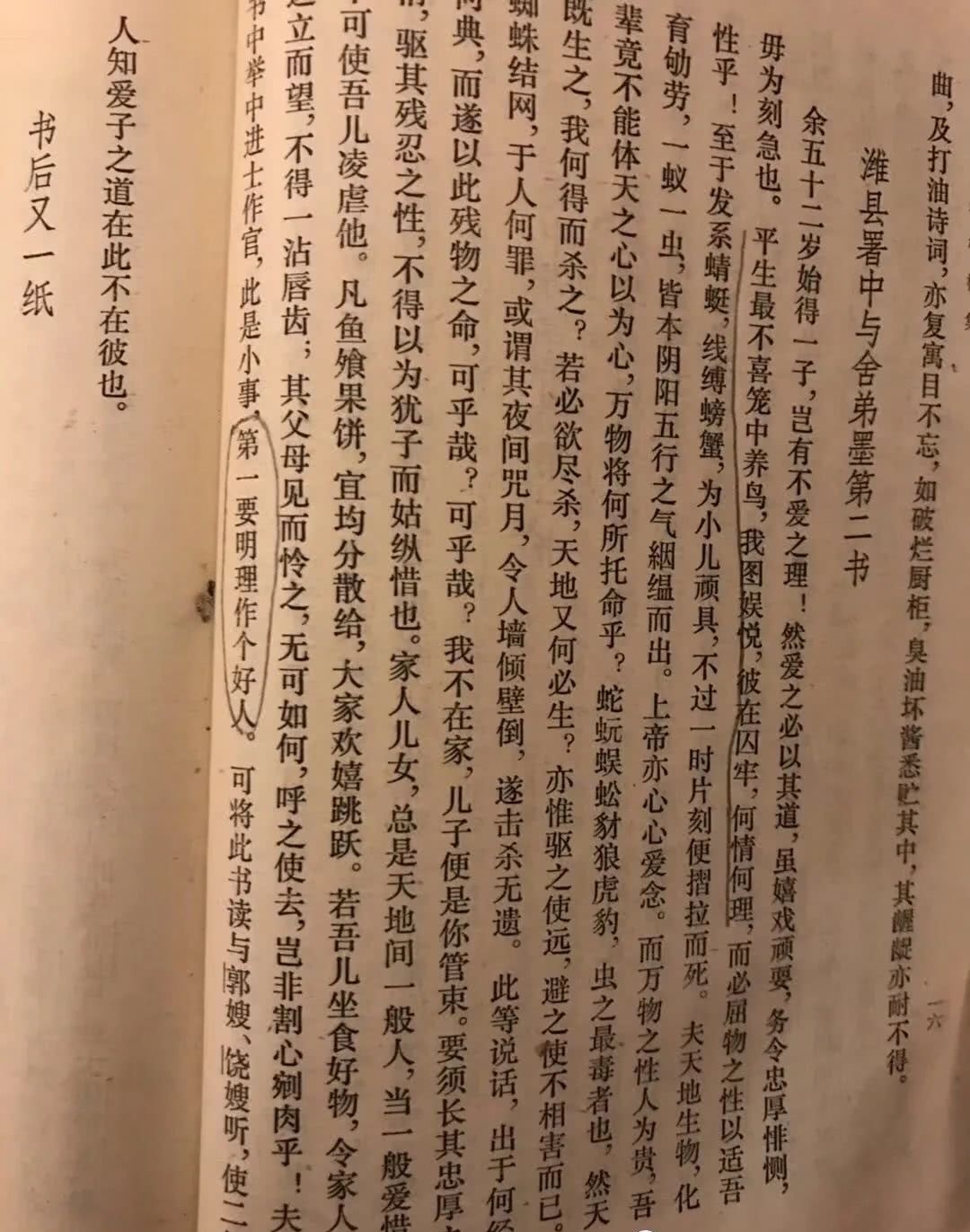 禁食猫狗 是伪善吗 看点快报