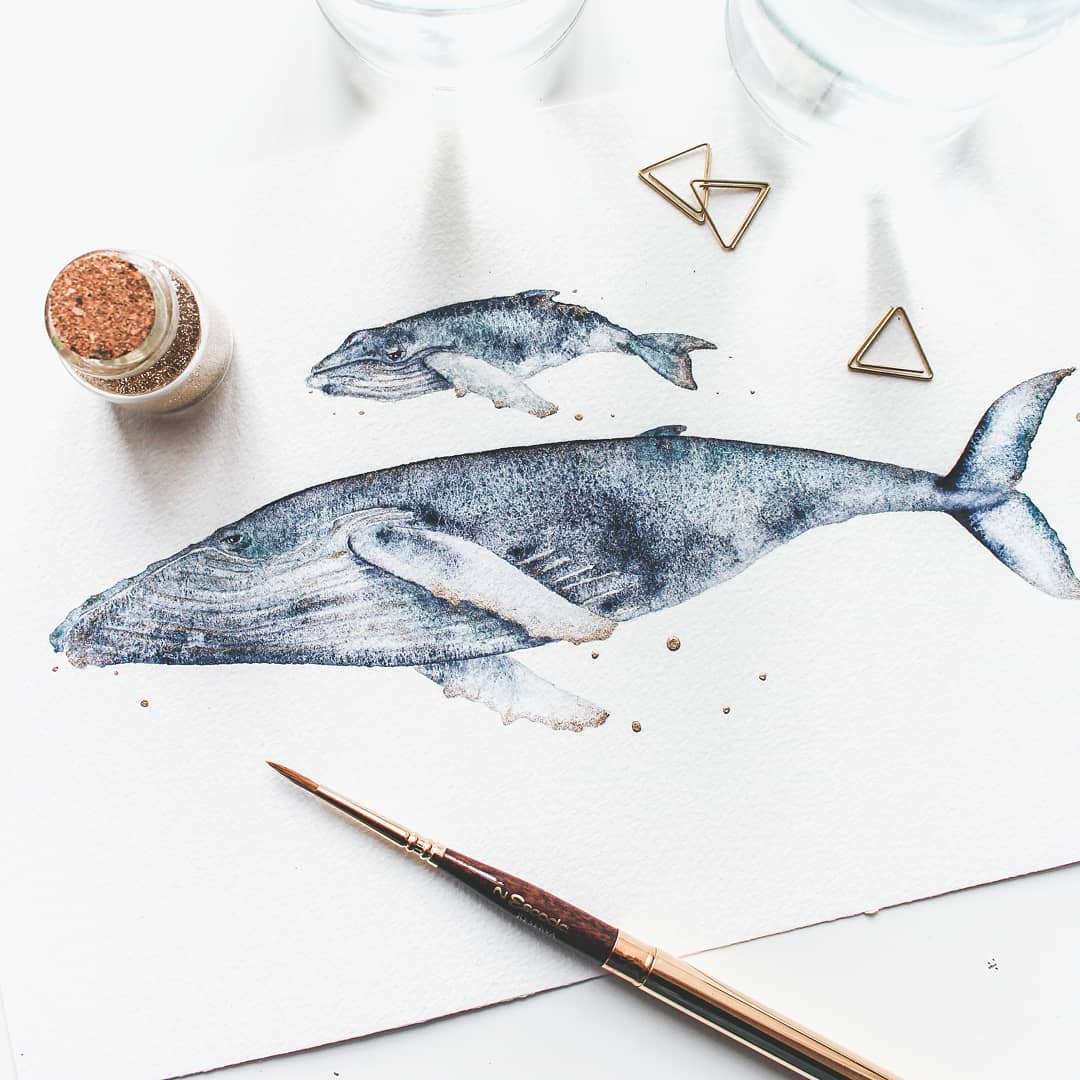 这位女插画家,她用迷人的水彩鲸鱼绘画,捕捉了海洋生物的魔力!