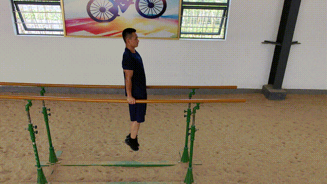 no.14双杠摆动臂屈伸