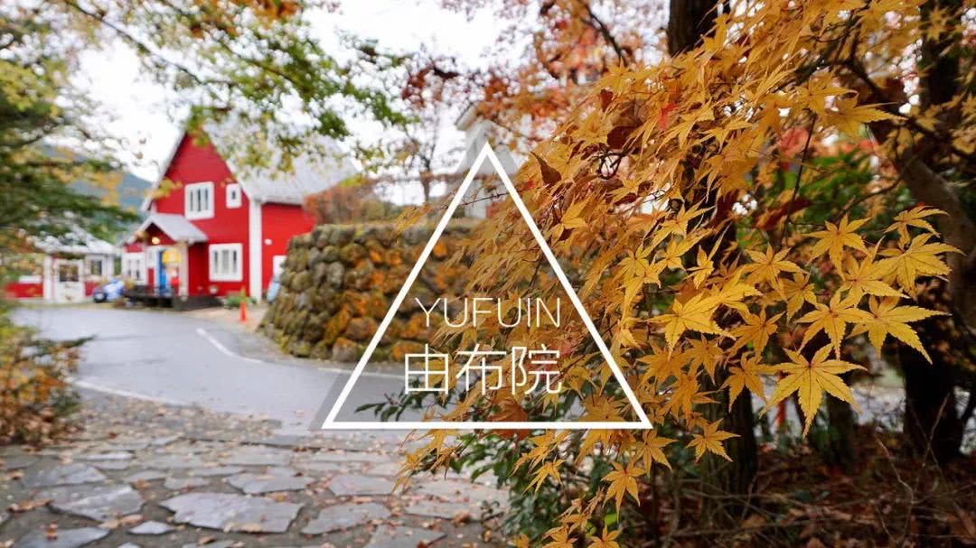 私藏红叶小径和露天汤池 都在可爱的由布院 看点快报