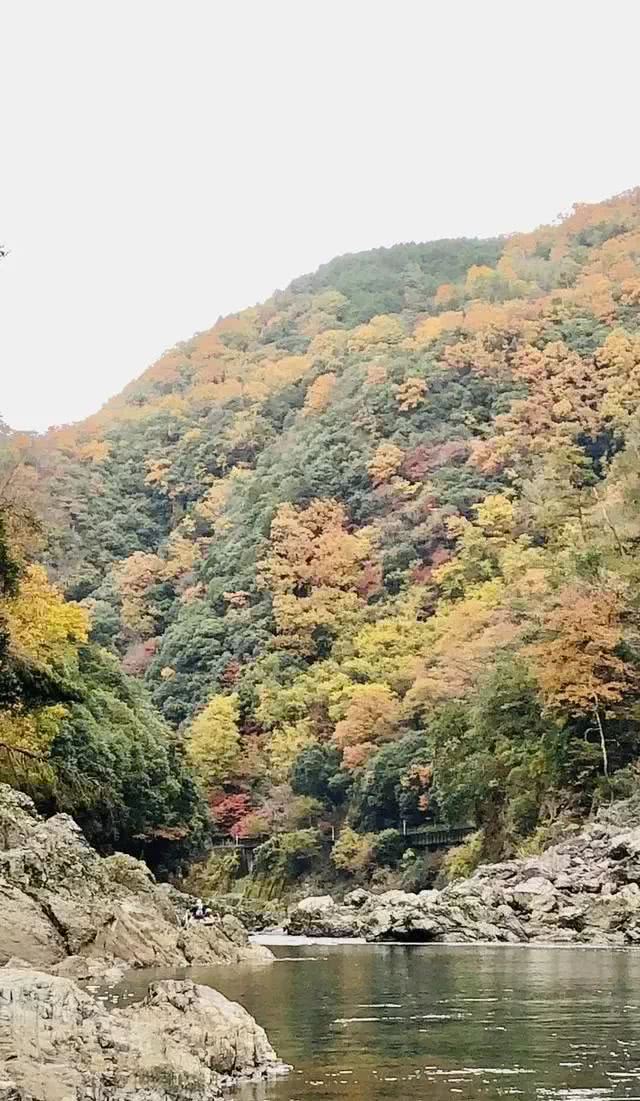 岚山保津峡游船看尽两岸层林浸染的红叶风光 游动的新体验 看点快报