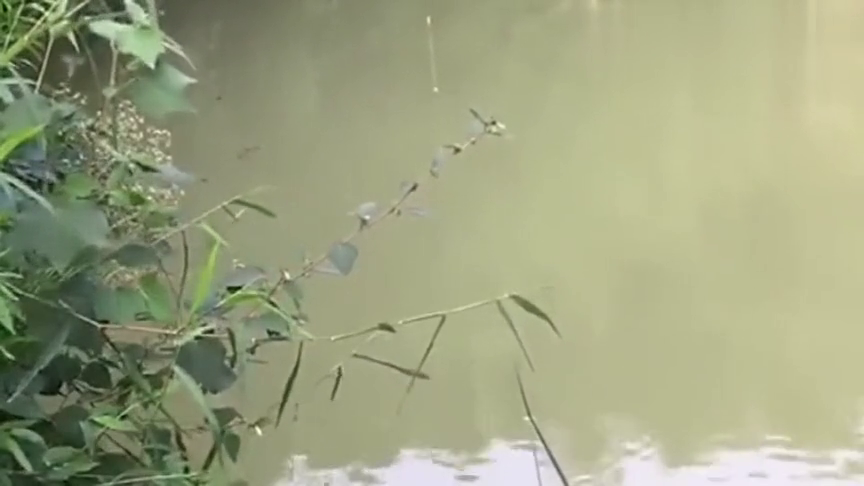 梦境垂钓，一瞬即得的启示，梦见钓鱼一下就钓上来的深层含义