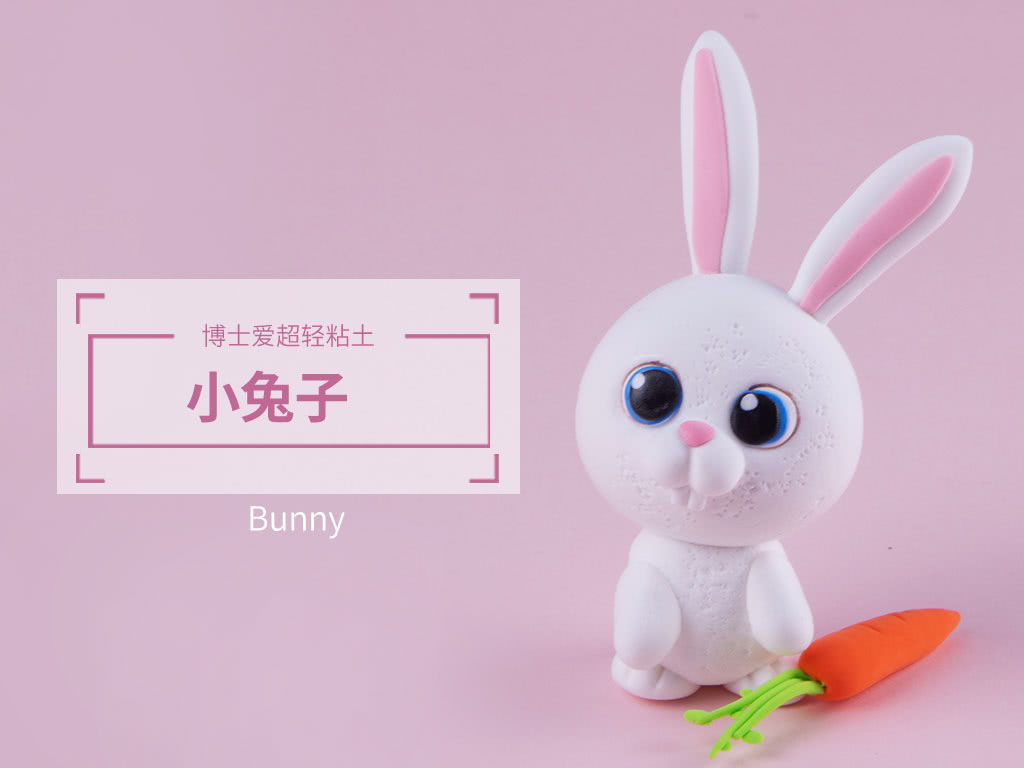 小白兔,胡萝卜,兔子