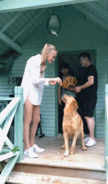 段子,搞笑gif