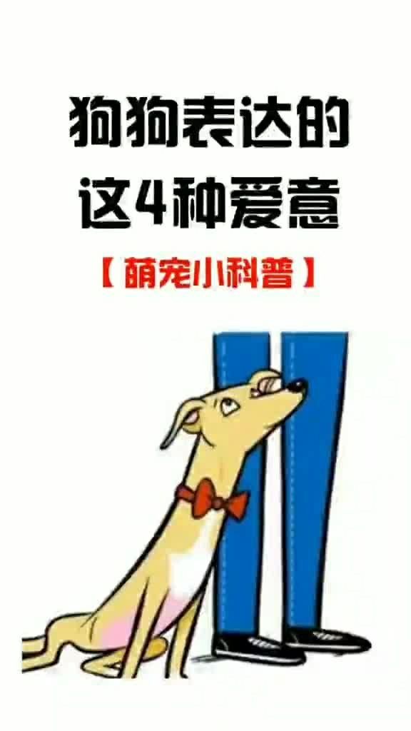 0?fmt=jpg&size=36&h=1024&w=576&ppv=1