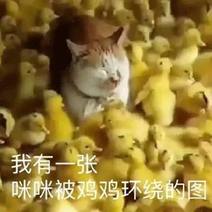 表情包 沙雕表情包