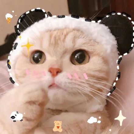 今日份 | 呆萌可爱的猫咪头像大全