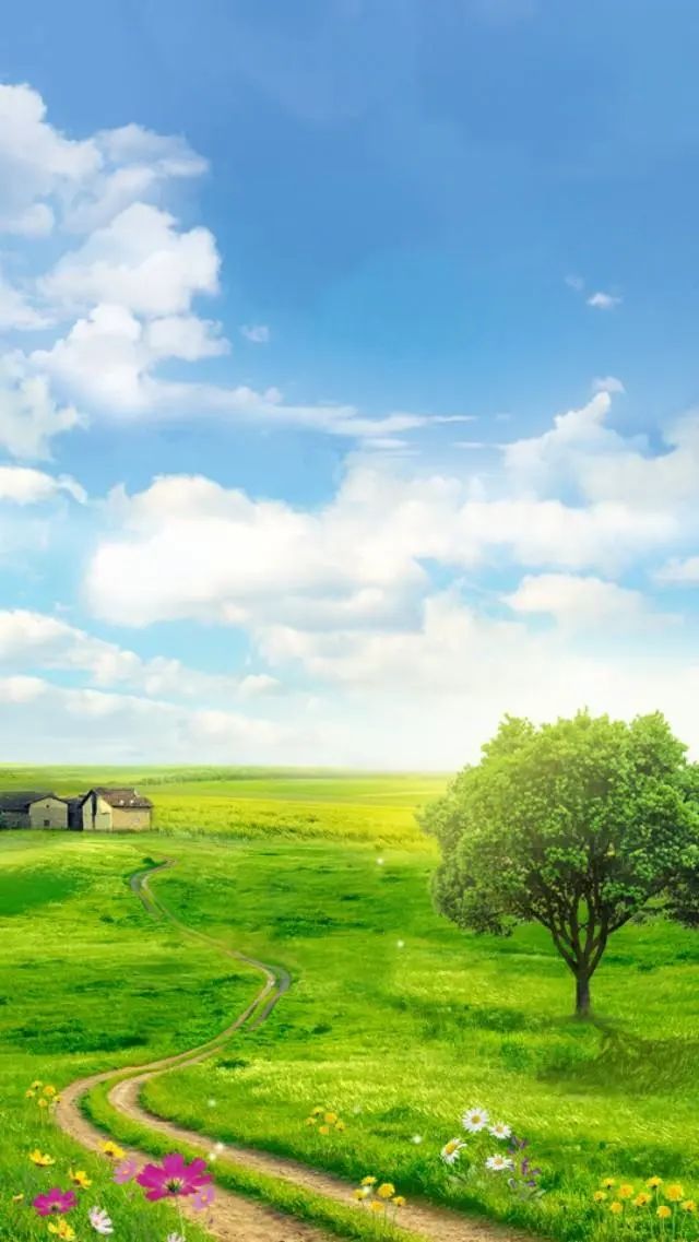 手机壁纸唯美大自然清新悦目 看点快报