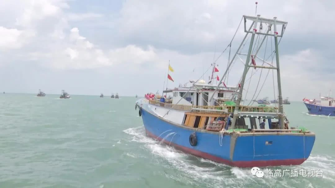临高 全面清理 三无 船舶鼓励渔民转产上岸 看点快报