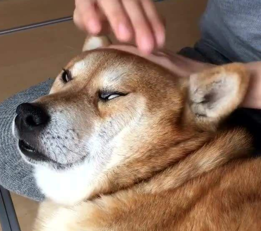 你知道