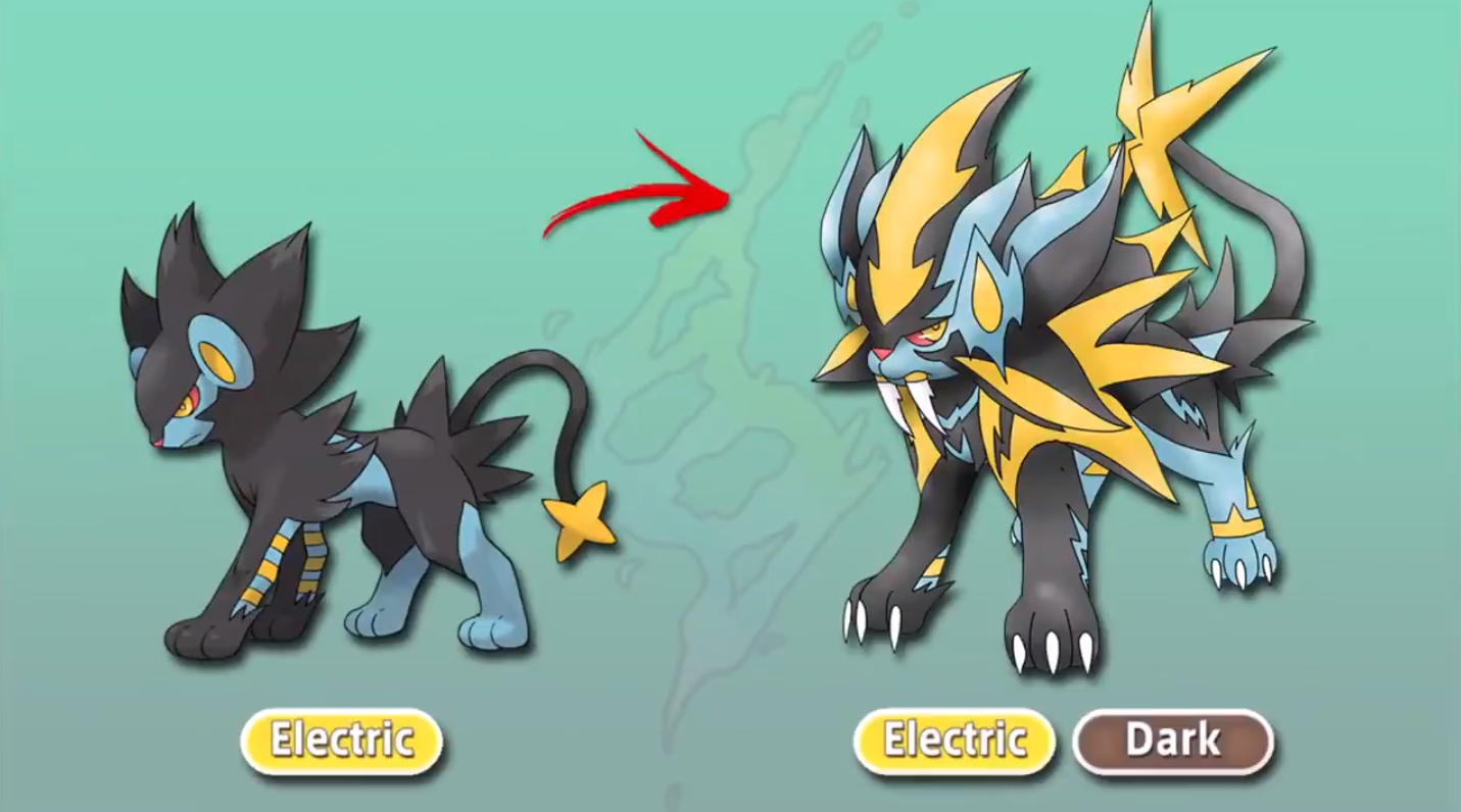 宝可梦同人 伦琴猫超级进化变成闪电咆哮虎 而他还不如不进化 看点快报