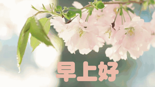 14情人节最漂亮早上好祝福动态图片带字,早上好暖心