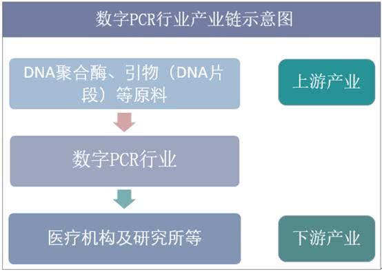 2019年中国数字pcr行业市场规模分析 癌症早期诊断应用前景广阔 看点快报