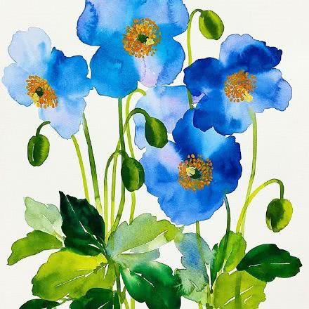 看水色的花语 一盆盆水彩花 送来一个个温暖的水色画面 看点快报