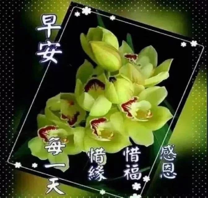 1月22日清晨问候大家早上好的早安祝福语图片,早安祝福语图片带字