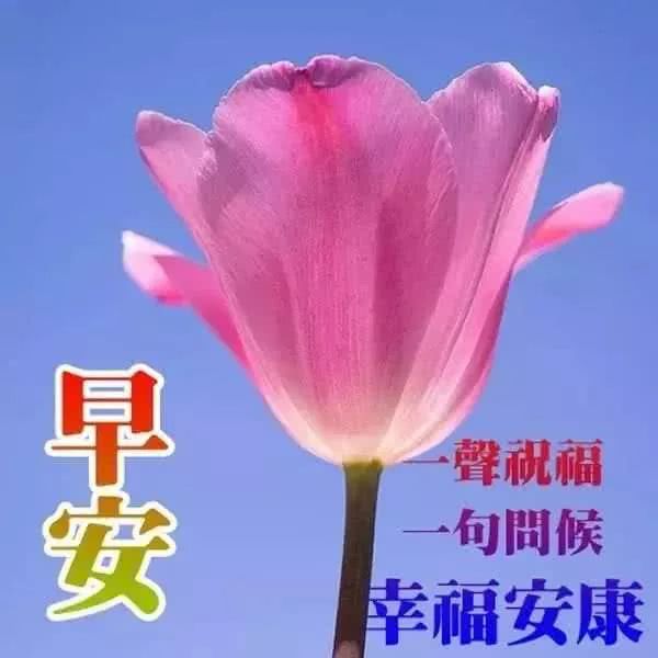 2月26日朋友圈春天暖心早安问候语配图,早安问候祝福语动态漂亮图片