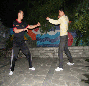 擒拿格斗防身术动图教学