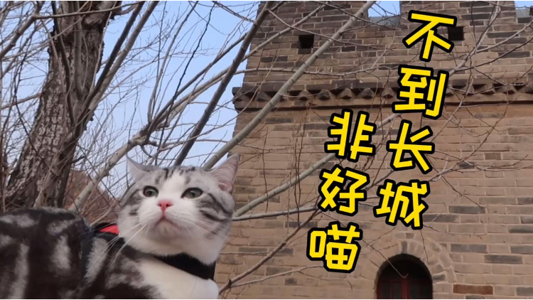 0?fmt=png&size=598&h=422&w=750&ppv=1