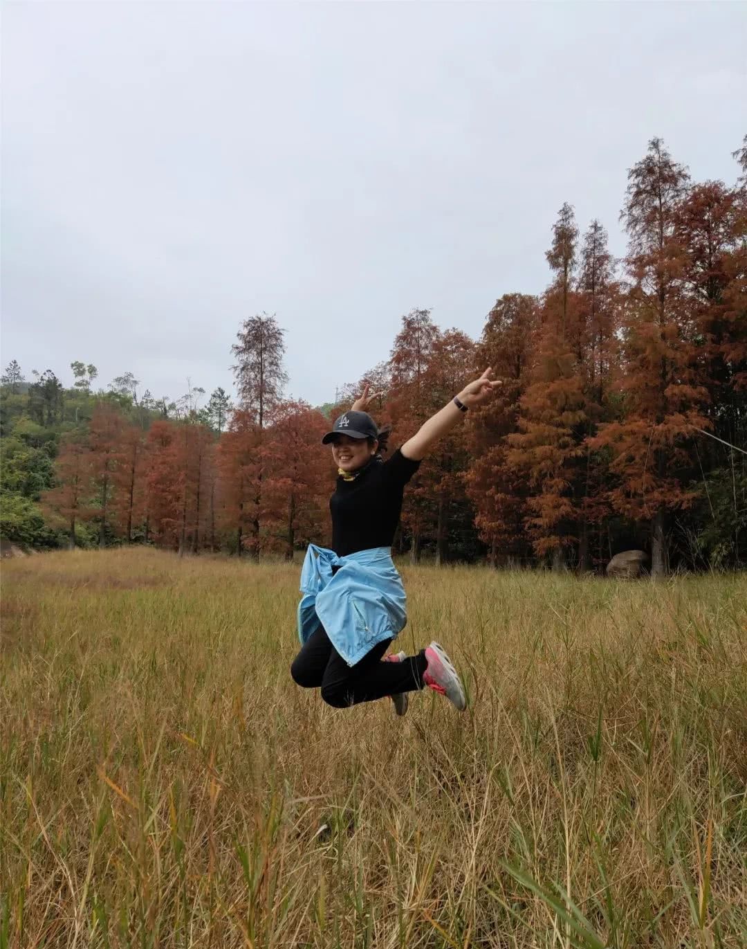 五桂山田寮水库的水杉红了 看点快报