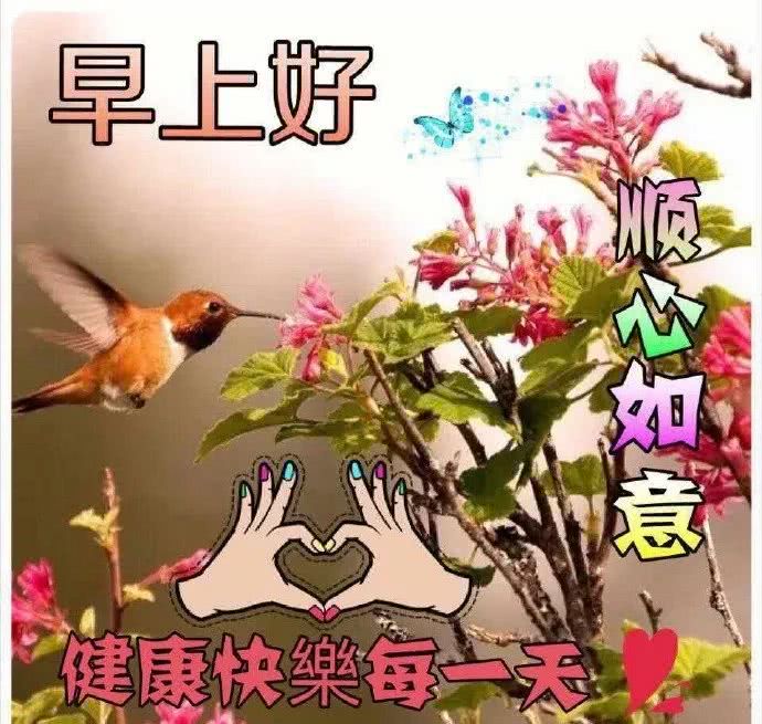 早上好鲜花问候祝福语图片带字,早上问候语及关心话