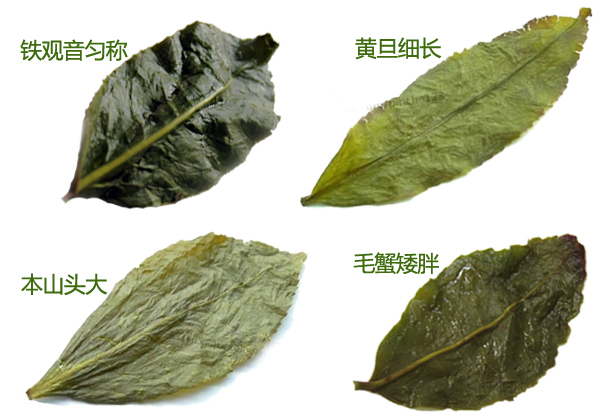 项目 高档 中档 低&#x