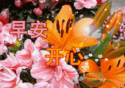 8月4最新早上好祝福问候短信 早晨祝福唯美图片温馨