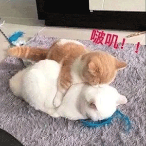 部分素材来自网络,版权归原创者,如有侵权请联系删除 你点的每一个在