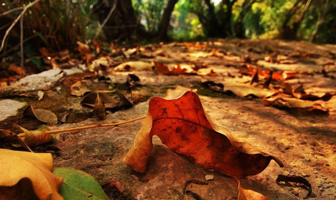 20171025205213_ay3d982de6.png?v=1769802930539