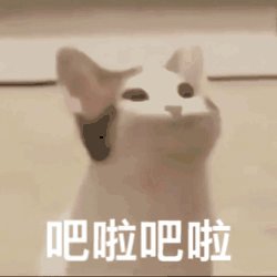 popo猫表情包合集