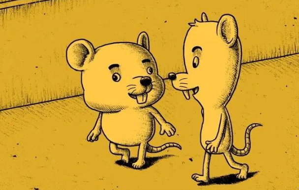 <b>��ɫ��ӳ��֮�����塷</b>