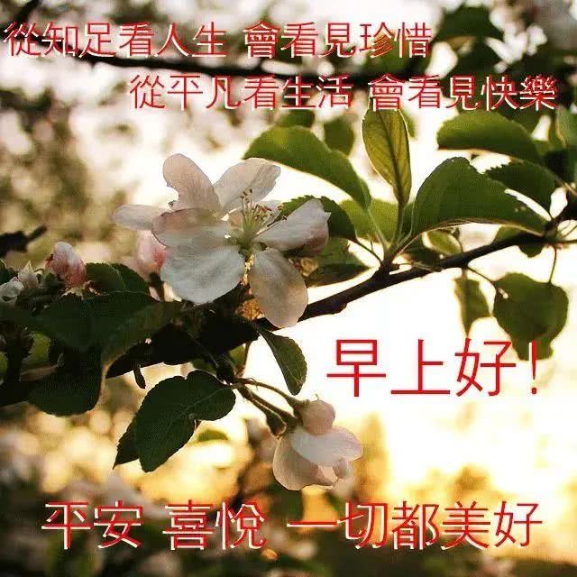 周六群发暖心早安问候语图片 早晨好祝福语简短祝福语