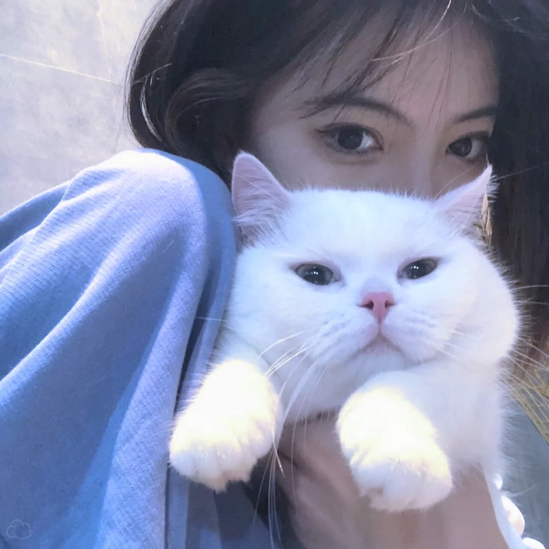 ins风格女生头像:故事停留在炙热的夏天/ins女头