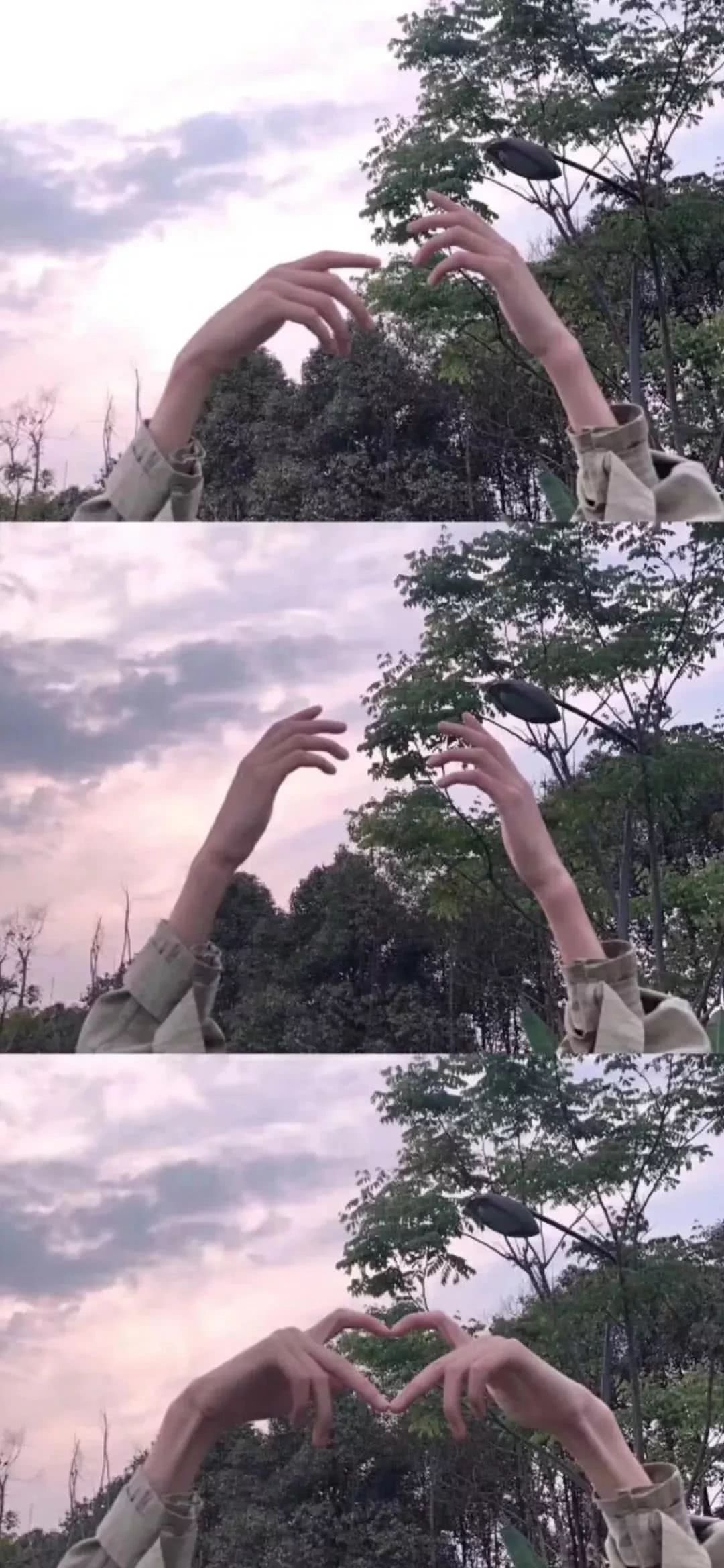 抖音3格壁纸,很青春!