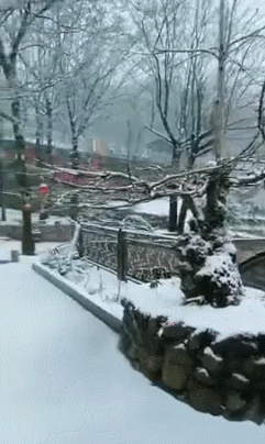 下雪了!前天还穿着短袖,今天宁波这个地方已有积雪