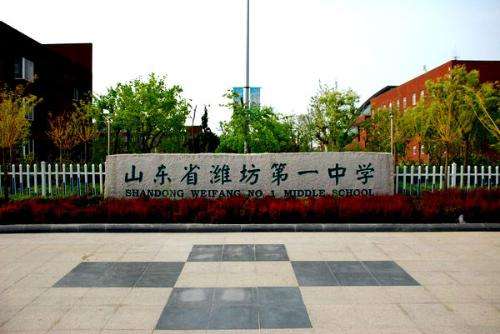 潍坊一中,高考状元