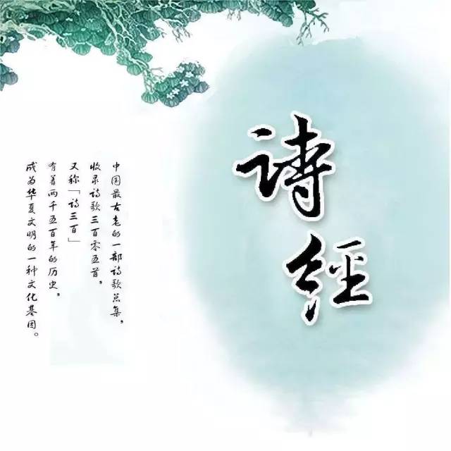 20171203211716_f5hq6dmn4e.jpg?v=1769803021342