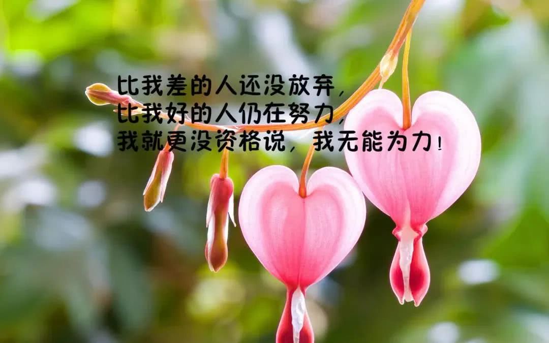 发朋友圈最新人生哲理经典句子,值得深思的说说!