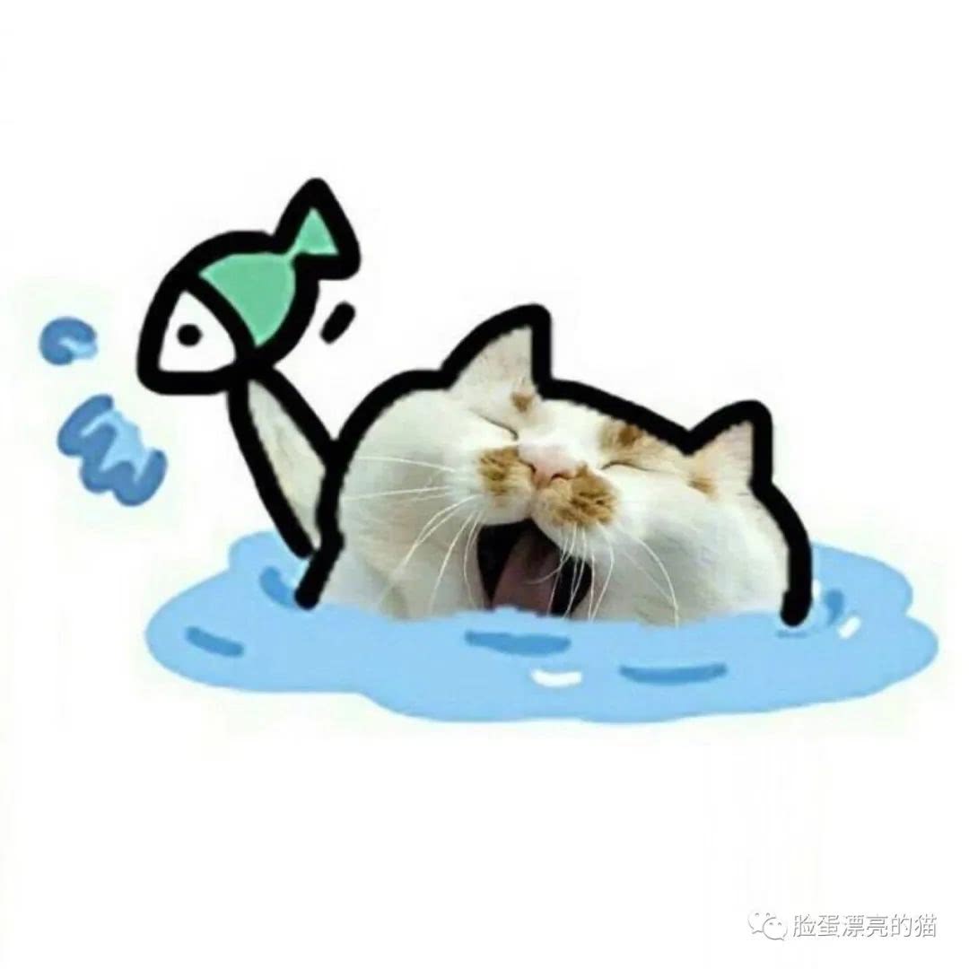 头像vol.50 小猫捞鱼