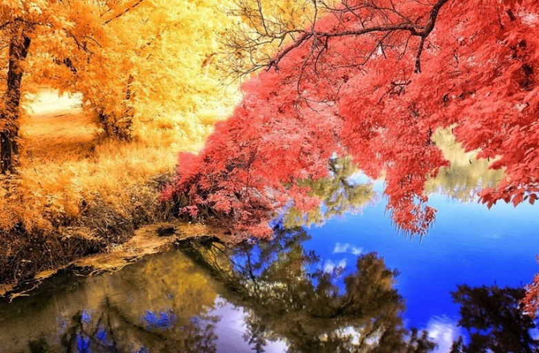 唯美的深秋季节风景壁纸 优美迷人 令人如痴如醉 看点快报